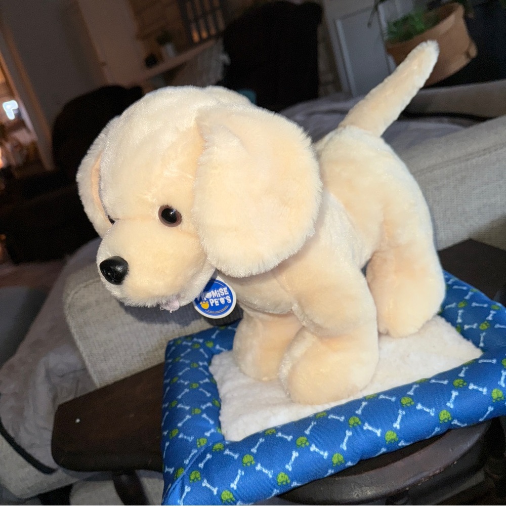Build a Bear Promise Pets Golden Retriever Yellow Labrador Puppy 11" & Dog BED - Picture 1 of 16